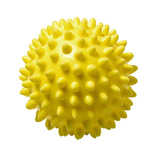 Wellness-Ball Igel