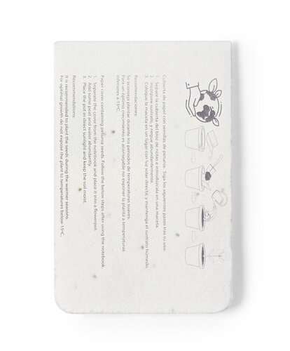 Sementi Samenpapier/Haftnotizen