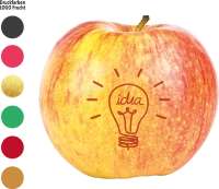 LogoFrucht Apfel "Brainstorming"