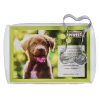 Vorschau: Backförmchen in der Box - Haustiere - Knochen Vorschau: Backförmchen in der Box - Haustiere - Knochen