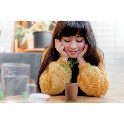 GROWTREE™ Kiefernsamen-Set