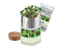 Vorschau: Plant-Bag Viel Glück, Glückskleezwiebelchen, 1-4 c Digitaldruck inklusive Vorschau: Plant-Bag Viel Glück, Glückskleezwiebelchen, 1-4 c Digitaldruck inklusive