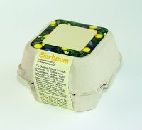 Vorschau: Eierbaum-Box, Eierbaumsamen, 1-4 c Digitaldruck inklusive Vorschau: Eierbaum-Box, Eierbaumsamen, 1-4 c Digitaldruck inklusive
