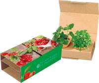 Vorschau: Naschgemüse-Duo, Cocktail Tomate und Paprika, 1-4 c Digitaldruck inklusive Vorschau: Naschgemüse-Duo, Cocktail Tomate und Paprika, 1-4 c Digitaldruck inklusive