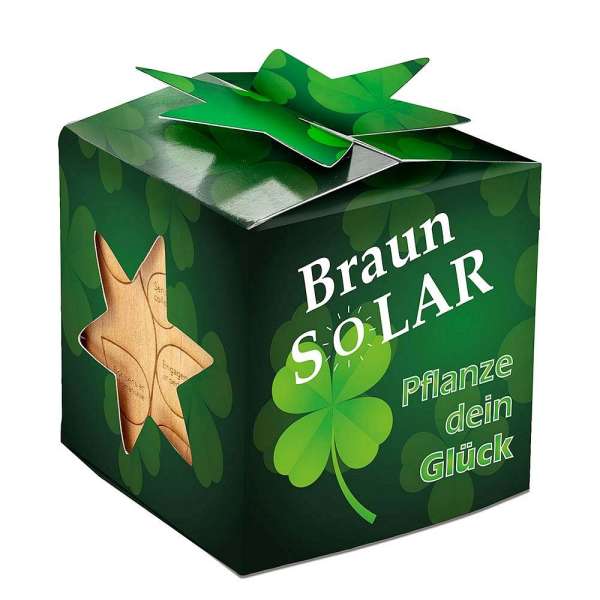 Pflanz-Holz Star-Box mit Samen - Glücksklee-Zwiebel, 1 Seite gelasert (* Je nach Verfügbarkeit der G