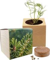 Großer Natur-Würfel Fichte