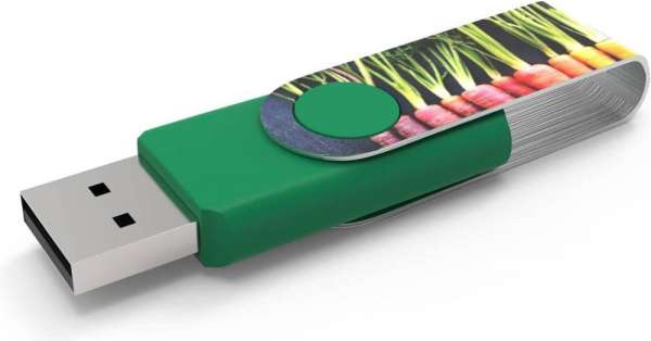 USB Twister MaxPrint Premium-USB-Chip mit 30 Jahren Garantie 32 GB