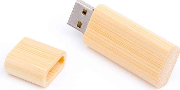 USB Stick Holz Limb