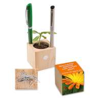 Pflanz-Holz Büro mit Samen - Ringelblume, 2 Seiten gelasert