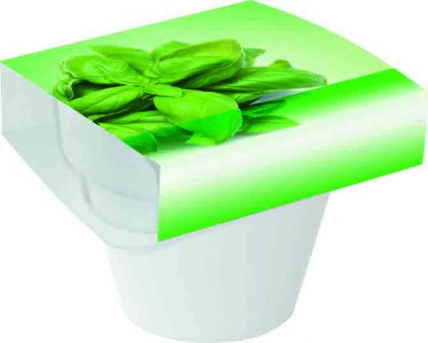 Tontopf Colour Basilikum, Basilikum, 1-4 c Digitaldruck inklusive