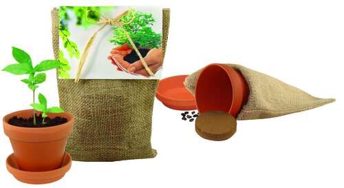 Pflanze Deinen Baum Natur-Säckchen