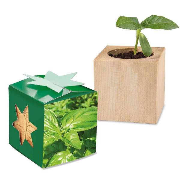 Pflanz-Holz Star-Box mit Samen - Basilikum, 1 Seite gelasert