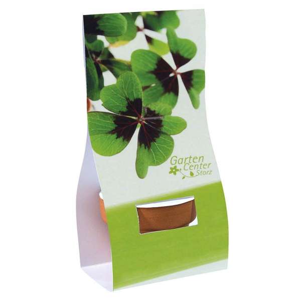 Logo-Töpfchen Überreichverpackung mit Samen - Glücksklee (* Je nach Verfügbarkeit der Glücksklee-Zwi
