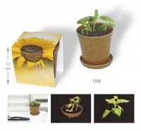 Vorschau: Easy Wachstums-Topf Sonne, Zwergsonnenblume, 1-4 c Digitaldruck inklusive Vorschau: Easy Wachstums-Topf Sonne, Zwergsonnenblume, 1-4 c Digitaldruck inklusive