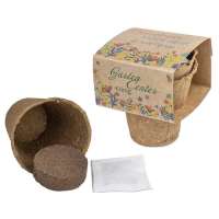 Vorschau: Anzucht-Set mit Samen Vorschau: Anzucht-Set mit Samen