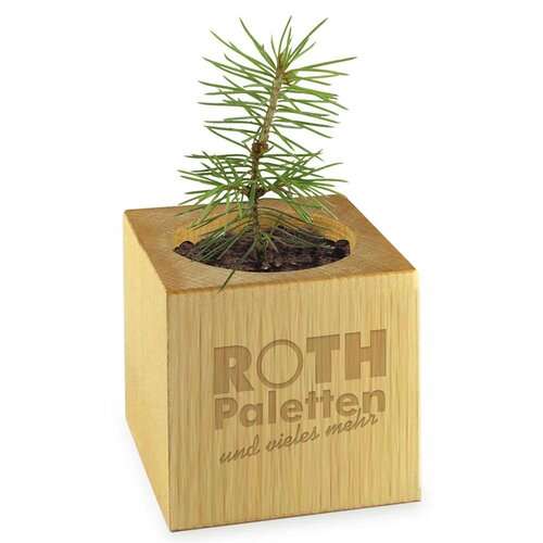 Pflanz-Holz - Standardmotiv - Frohe Weihnachten