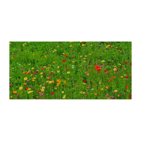 Bienenweide Auf eine blühende Zusammenarbeit