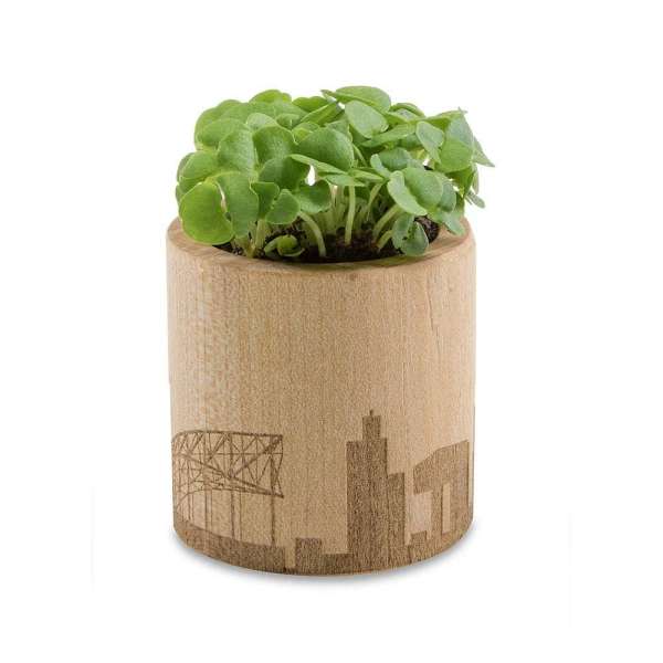 Pflanz-Holz rund mit Samen - Sommerblume, Rundum-Lasergravur