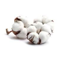 Vorschau: ROMOSCENT® Raumduft Golden Cotton Vorschau: ROMOSCENT® Raumduft Golden Cotton