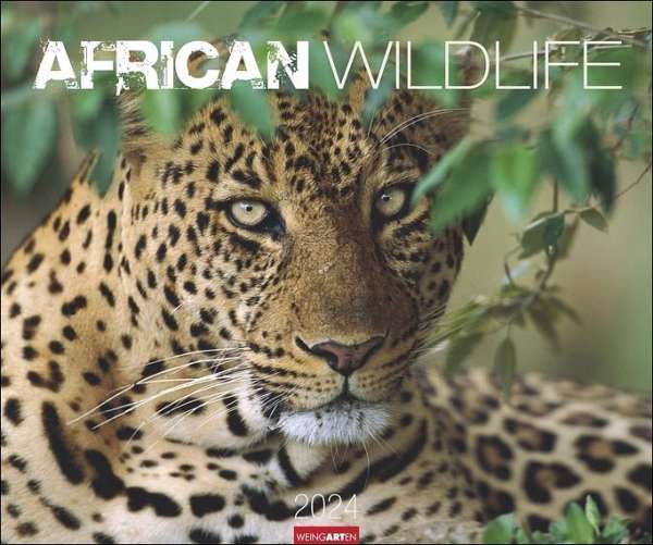 Wandkalender - African Wildlife