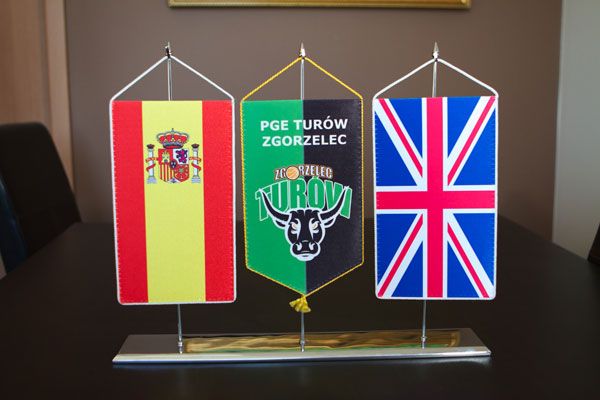media/image/proporczyk_84.jpg