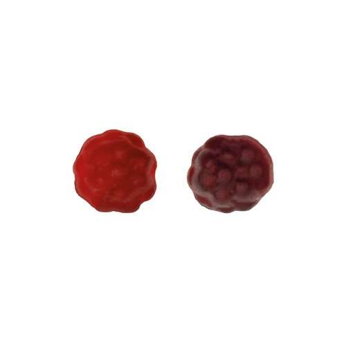 BIO Beerenfrüchtchen vegan Werbetüte