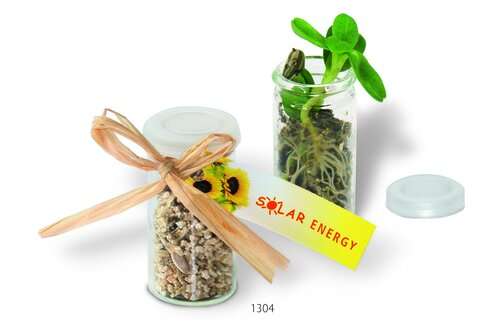 Mini-Glasshouse Sonne