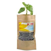 Vorschau: Grünes aus der Tüte mit Samen Vorschau: Grünes aus der Tüte mit Samen