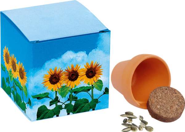 Würfel Sonnenblume, Zwergsonnenblume, 1-4 c Digitaldruck inklusive