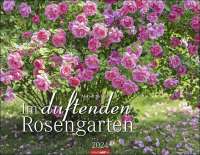 Wandkalender - Im duftenden Rosengarten