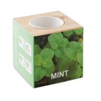 MENTA Kräuterpflanz-Set "Minze''