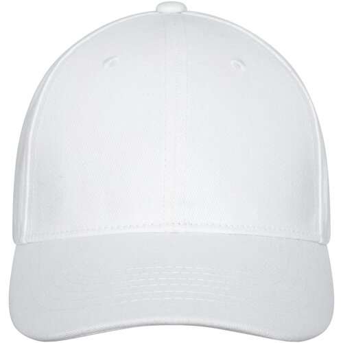 Davis Panel Kappe mit 6 Segmenten