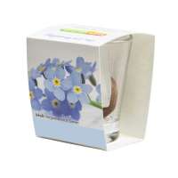 Vorschau: Caffeino-Glas mit Samen Vorschau: Caffeino-Glas mit Samen