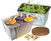 Wachstums-Kästchen Blütengenuss