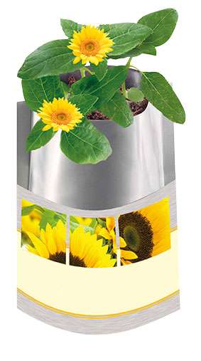 Plant-Bag Sonne, Zwergsonnenblume, 1-4 c Digitaldruck inklusive