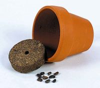 Vorschau: Tontöpfchen Sonne, Zwergsonnenblume, 1-4 c Digitaldruck inklusive Vorschau: Tontöpfchen Sonne, Zwergsonnenblume, 1-4 c Digitaldruck inklusive