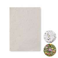 ASIDO DIN A6 Wildblumen-Samenpapier