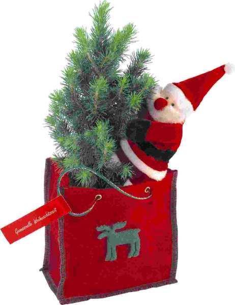 Bäumchen im Filztäschchen 20-30 cm, 1-4 c Digitaldruck inklusive