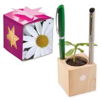 Pflanz-Holz Büro Star-Box mit Samen - Margerite, 2 Seiten gelasert
