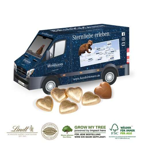 3D PRÄSENT „TRANSPORTER” - Lindt Herzen