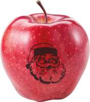 LogoFrucht Apfel Nikolaus