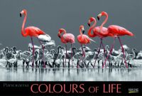 Fotokalender Colours of Life auch mit Werbedruck