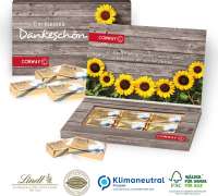 Lindt Schokotäfelchen in Präsentbox Business