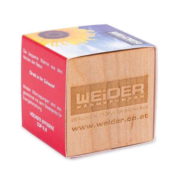 Pflanz-Holz Magnet mit Samen - Thymian