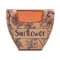 Vorschau: SUNFLOWER Terracotta-Topf Sonnenblume Vorschau: SUNFLOWER Terracotta-Topf Sonnenblume