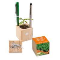 Pflanz-Holz Büro mit Samen - Gartenkresse