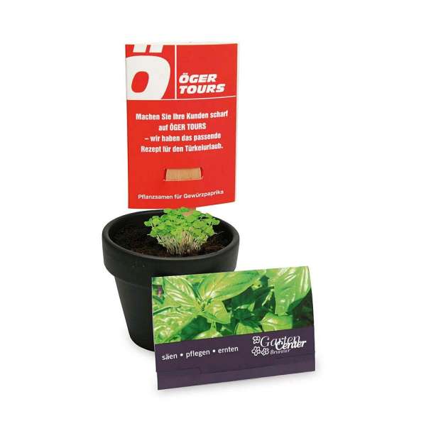 Pflanz-Stick mit Samen - Margerite, 2 Seiten gelasert