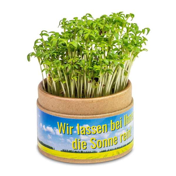 Pflanz-Cup - Gartenkresse