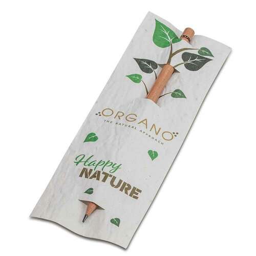 Bleistift im Samenpapieretui