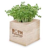 Vorschau: Pflanz-Würfel 2.0 mit Samen - Weihnachten Vorschau: Pflanz-Würfel 2.0 mit Samen - Weihnachten